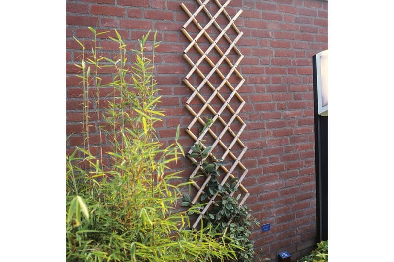 Nature Hageespalier 45x180 cm 6040720 - - Espalier Nature Hageespalier 45x180 cm 6040720 - - Espalier
