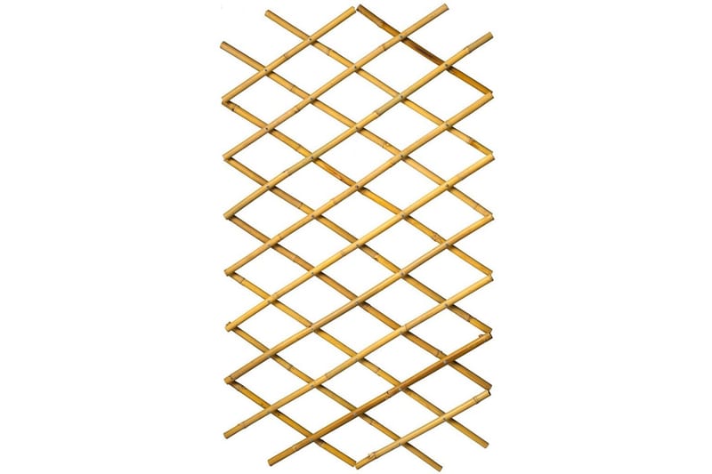 Nature Hageespalier 45x180 cm 6040720 - - Espalier Nature Hageespalier 45x180 cm 6040720 - - Espalier
