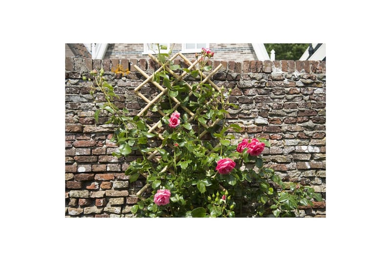 Nature Hageespalier 45x180 cm 6040720 - Espalier