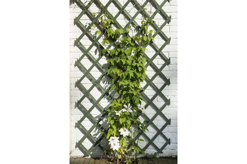 Nature Hageespalier 50x150 cm tre grønn - Espalier