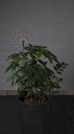 Firework Solar solcelledekorasjon 26 cm - svart - Hagemøbler & utemiljø - Hagedekorasjon & utemiljø - Hagebelysning