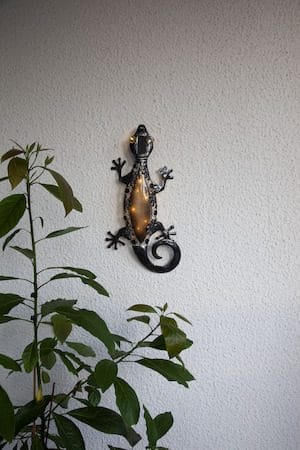 Gecko solcelledekorasjon 27 cm - svart - Hagemøbler & utemiljø - Hagedekorasjon & utemiljø - Hagebelysning