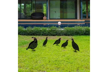 Dekorativt hage metalltilbehør sett Vaktler Svart - Svart - Hagemøbler & utemiljø - Hagedekorasjon & utemiljø - Hagefigurer & hagepynt