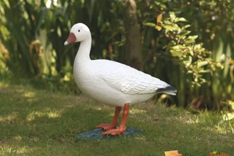 Ubbink Dyrefigur gås 53 cm - Hagefigurer & hagepynt - Hageskulptur