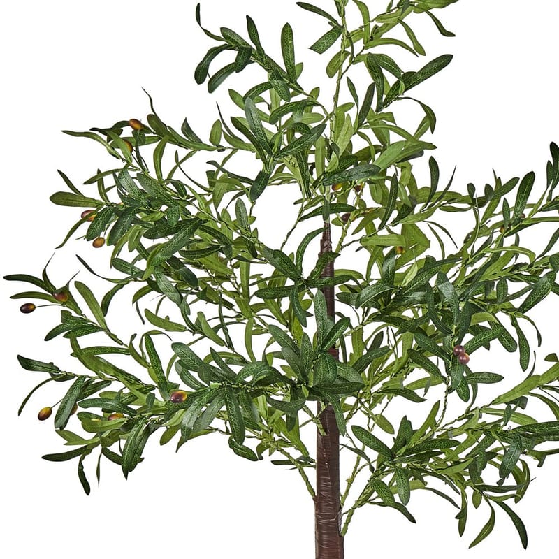 Utendørsdekorasjon Celioni - Hagemøbler & utemiljø - Hagedekorasjon & utemiljø - Hagefigurer & hagepynt