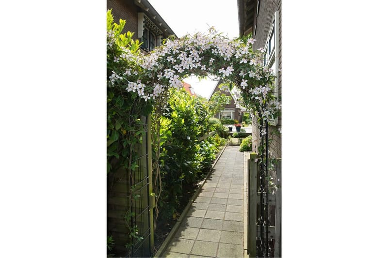 Nature Hagebue metall 229x38x113 cm svart -   - Rosebue