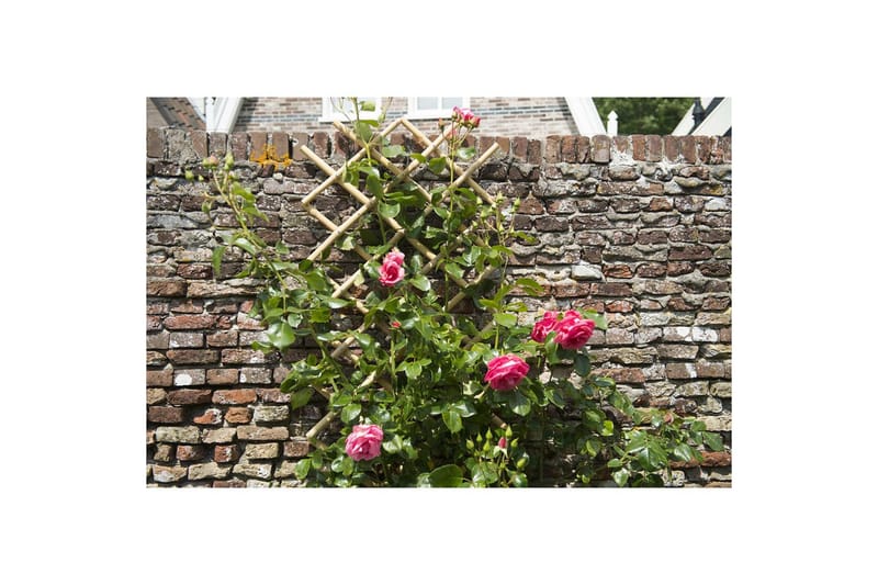 Nature Hageespalier 100x200 cm bambus 6040722 - Espalier Nature Hageespalier 100x200 cm bambus 6040722 - Espalier