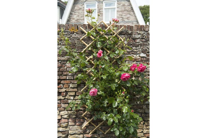 Nature Hageespalier 100x200 cm bambus 6040722 - Espalier Nature Hageespalier 100x200 cm bambus 6040722 - Espalier