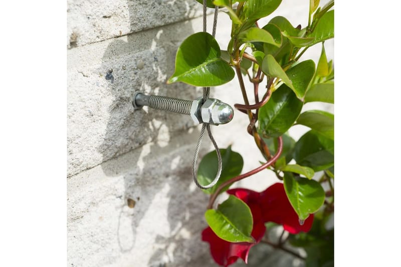 Nature Trådespaliesett for klatreplanter 6040760 - - Espalier Nature Trådespaliesett for klatreplanter 6040760 - - Espalier