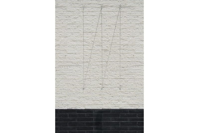 Nature Trådespaliesett for klatreplanter 6040760 - - Espalier Nature Trådespaliesett for klatreplanter 6040760 - - Espalier