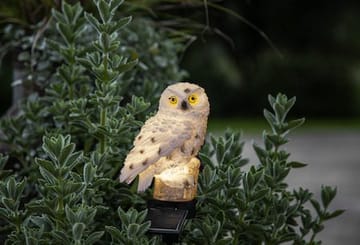 Owl solcelledekorasjon 10 x 33 cm - beige - Hagemøbler & utemiljø - Hagedekorasjon & utemiljø - Hagebelysning