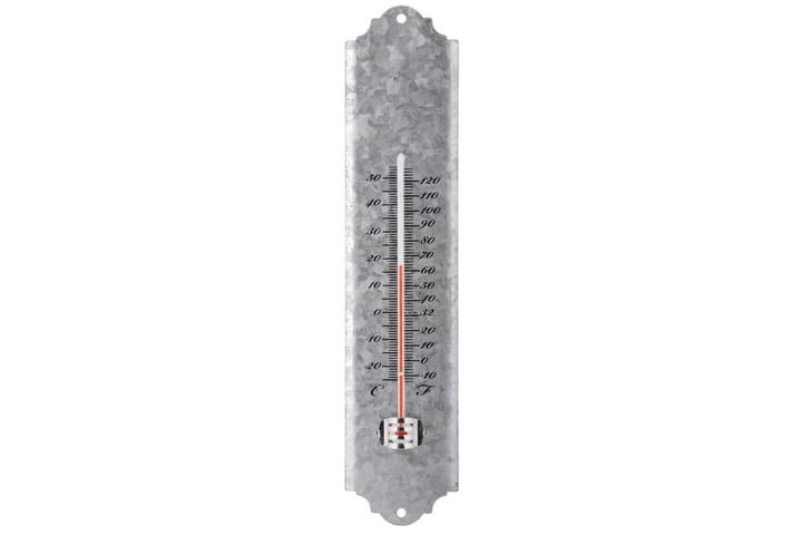 Esschert Design Veggtermometer skrapsink 30 cm OZ10 - Utetermometer