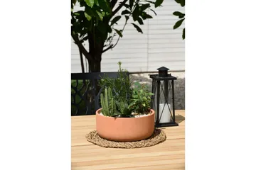 Utendørs møbelgruppe Lifestyle Garden Portals 209 cm 8 trebearbeidingsstoler - 8 trebearbeidingsstoler - Hagemøbler & utemiljø - Hagegruppe - Spisegrupper hage