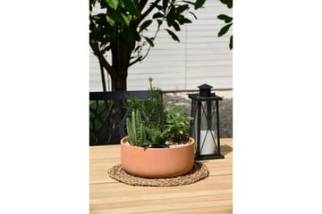 Utendørs møbelgruppe Lifestyle Garden Portals 209 cm 8 trebearbeidingsstoler - 8 trebearbeidingsstoler - Hagemøbler & utemiljø - Hagegruppe - Spisegrupper hage