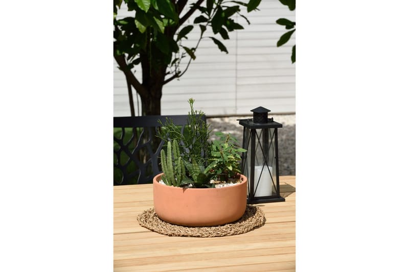 Utendørs møbelgruppe Lifestyle Garden Portals 209 cm 8 trebearbeidingsstoler - 8 trebearbeidingsstoler - Hagemøbler & utemiljø - Hagegruppe - Spisegrupper hage