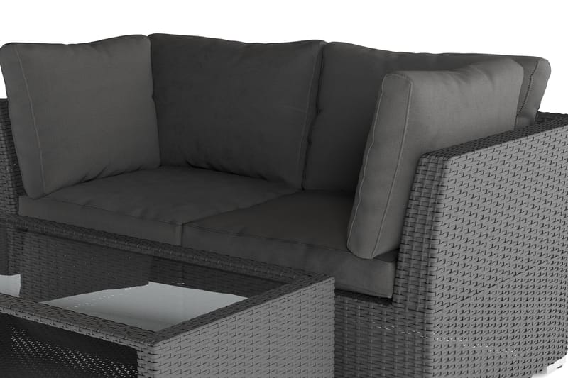 Wisconsin Premium Loungegruppe Utendørs med Armlener 2-seter Kunstrotting - Svart - Hagemøbler & utemiljø - Loungemøbler - Loungegrupper