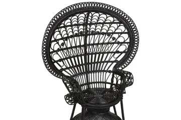 Påfuglstol Emmanuelle - Svart - Hagemøbler & utemiljø - Stoler & Lenestoler - Utelenestoler