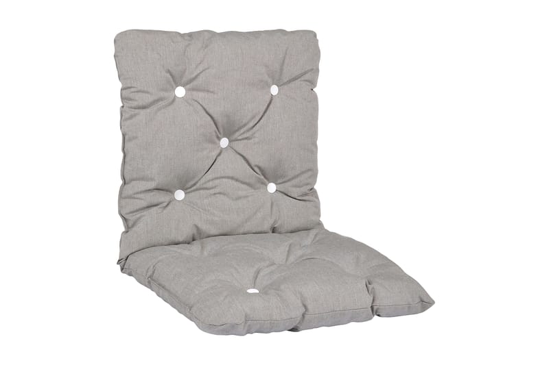 Askgrå Minivikflokk, Grå