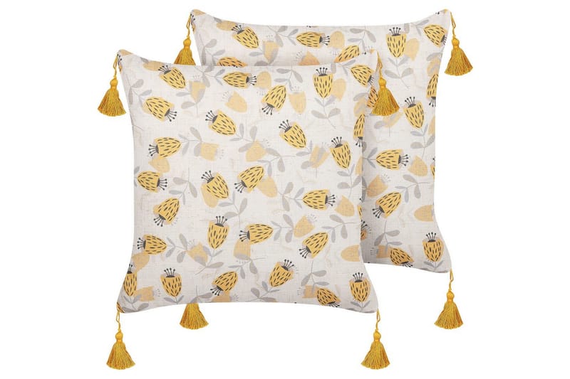 Pynteputer Abutilon sett på 2