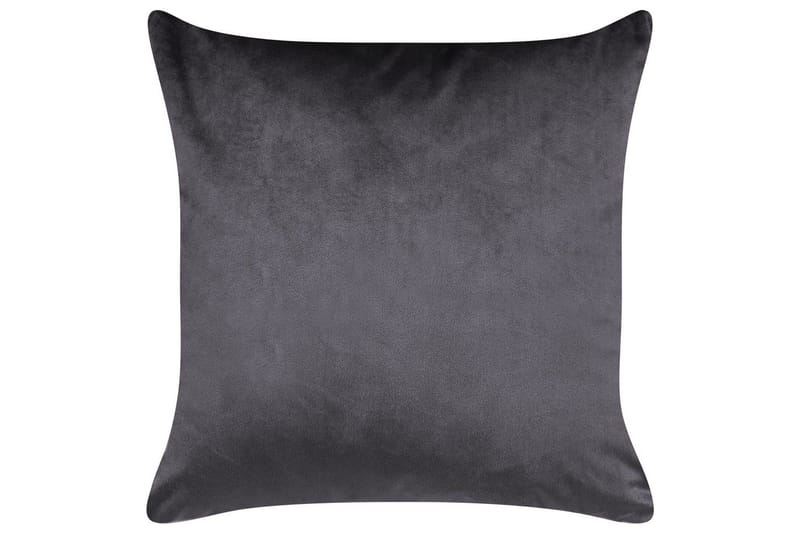 Pynteputer Alyssum sett på 2 Grå/gull, Fløyel - Grå/gull, Fløyel - Hagemøbler & utemiljø - Puter - Hageputer