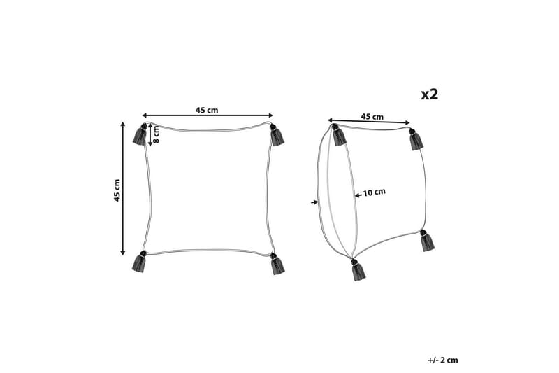 Pynteputer Aralia sett med 2 - Tekstiler & tepper - Pute & putetrekk - Pynteputer