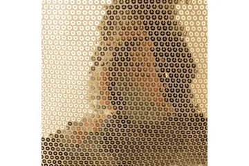 Pynteputer Aster sett med 2 Gull - Gull - Hagemøbler & utemiljø - Puter - Hageputer