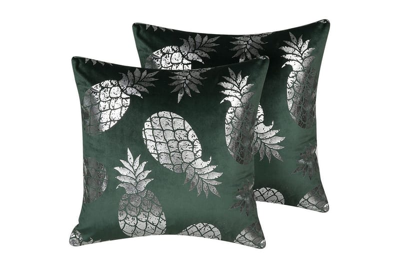 Pynteputer Astilbe sett med 2