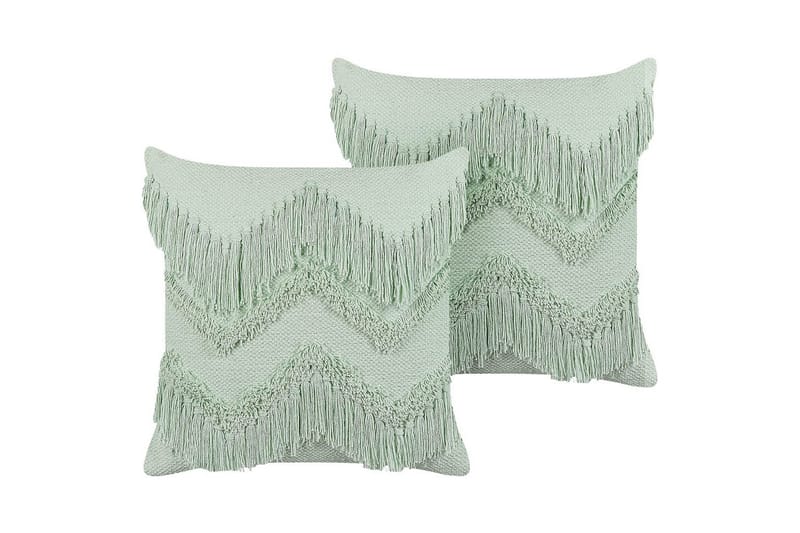 Pynteputer Bacopa sett med 2