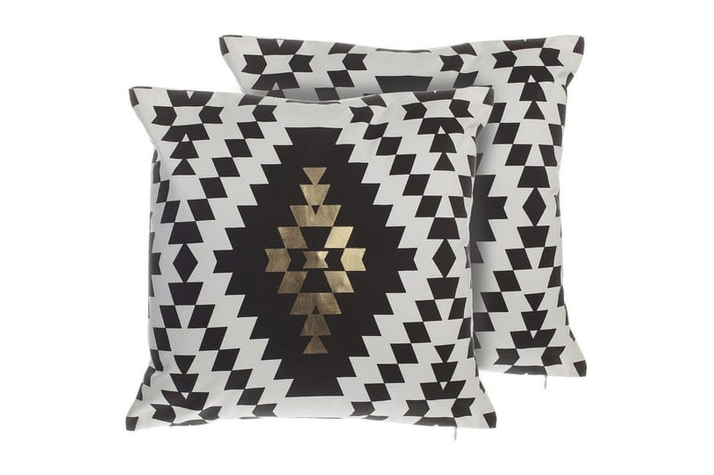 Pynteputer Coleus sett med 2