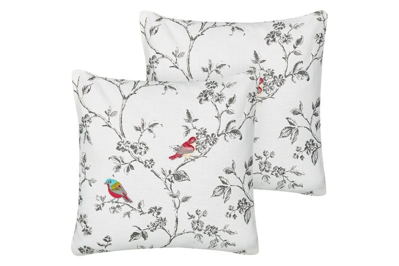 Pynteputer Dillenia sett på 2