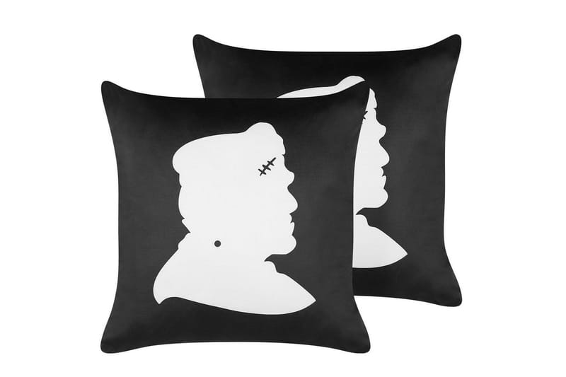 Pynteputer Franklinia sett av 2