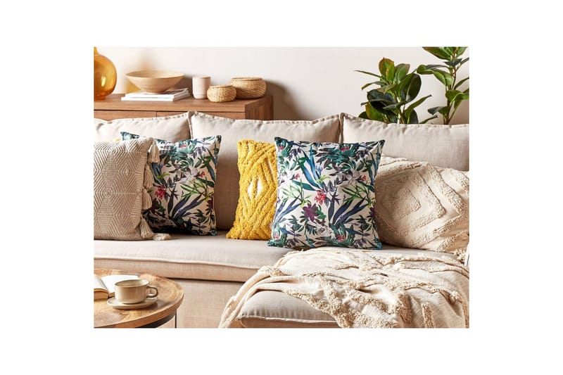 Pynteputer Gasteria sett av 2 - Hagemøbler & utemiljø - Puter - Hageputer