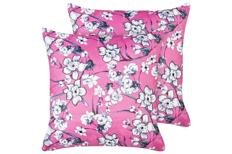 Pynteputer Koeleria sett av 2