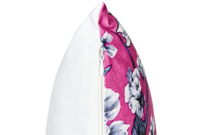 Pynteputer Koeleria sett av 2 - Hagemøbler & utemiljø - Puter - Hageputer