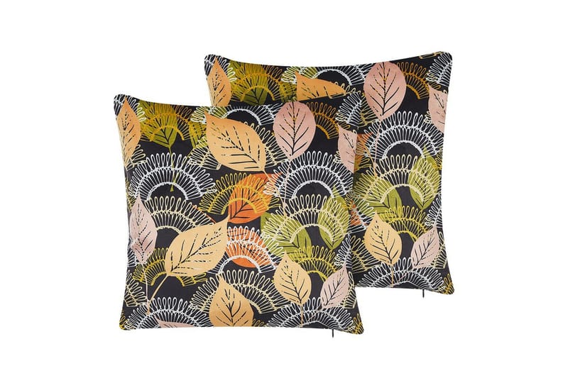 Pynteputer Lagurus sett med 2