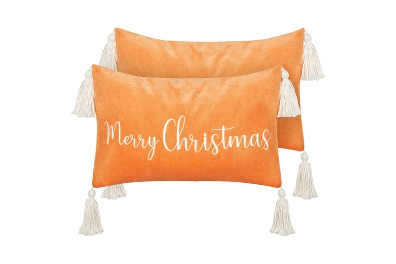 Pynteputer Lithops sett av 2