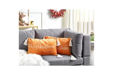 Pynteputer Lithops sett av 2 - Hagemøbler & utemiljø - Puter - Hageputer