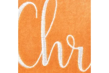 Pynteputer Lithops - Hagemøbler & utemiljø - Puter - Hageputer