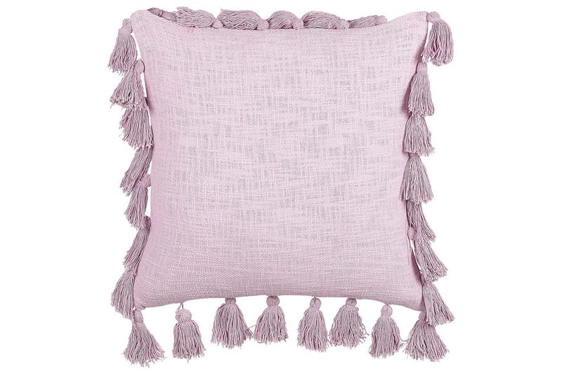 Pynteputer Lynchis Rosa, Rosa