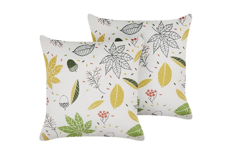 Pynteputer Mullein sett á 2