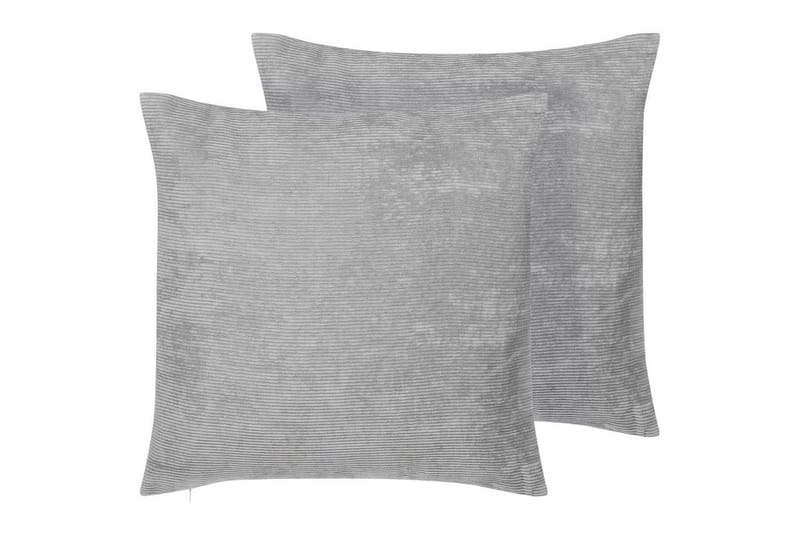 Pynteputer Nolana sett med 2