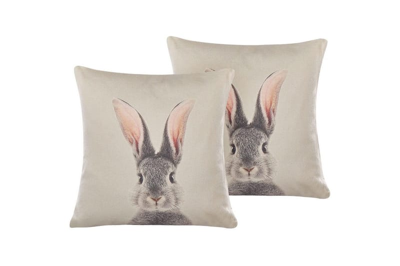 Pynteputer Quercus sett med 2