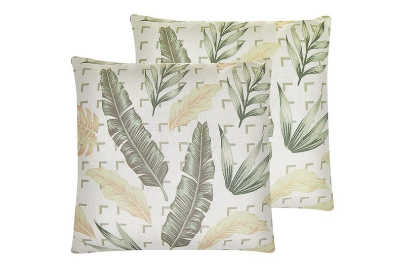 Pynteputer Rhapis sett av 2