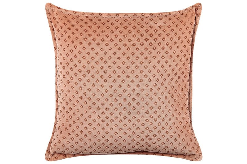 Pynteputer Rhodocoma