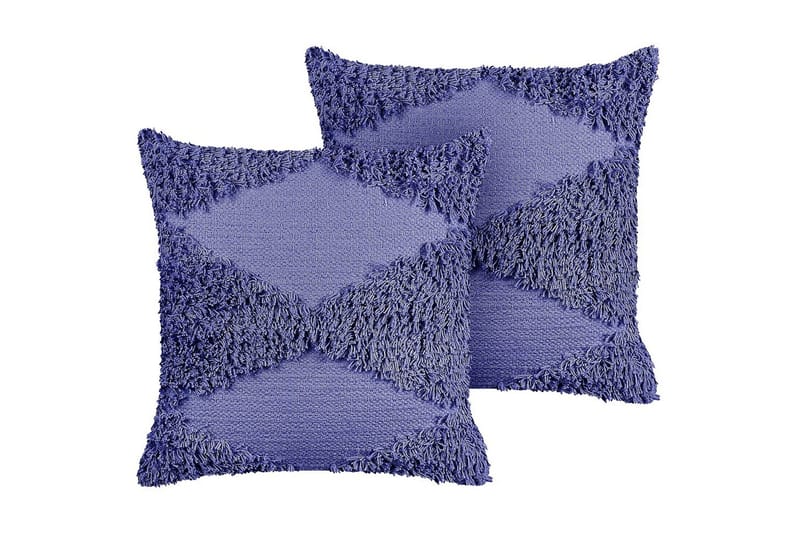 Pynteputer Rhoeo sett av 2 Fiolett, Fiolett