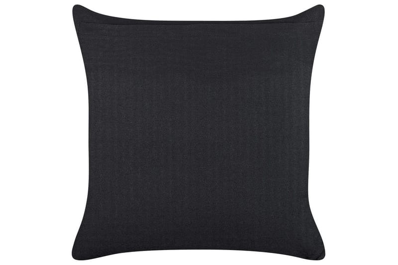 Pynteputer Ricinus sett med 2 - Tekstiler & tepper - Pute & putetrekk - Pynteputer