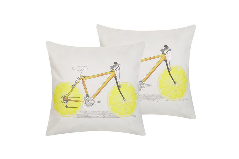 Pynteputer Ruscus sett på 2