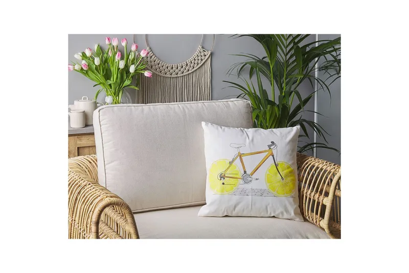 Pynteputer Ruscus sett på 2 - Hagemøbler & utemiljø - Puter - Hageputer