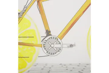 Pynteputer Ruscus sett på 2 - Hagemøbler & utemiljø - Puter - Hageputer