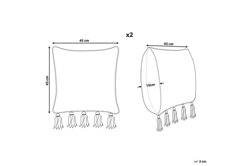 Pynteputer Sambucus sett med 2 - Tekstiler & tepper - Pute & putetrekk - Pynteputer